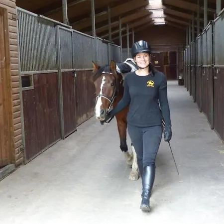 Bernsteinreiter Erlebnishof Barth, Blockhütte 17 Hotel *