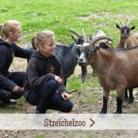 Hotel Bernsteinreiter Erlebnishof Barth, Blockhütte 17