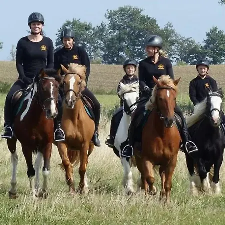 Hotel Bernsteinreiter Erlebnishof Barth, Blockhütte 17 Barth