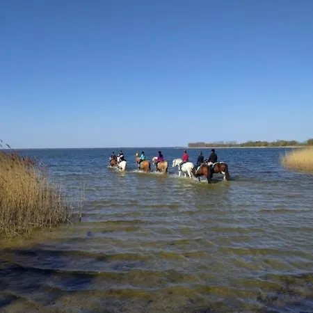 Hotel Bernsteinreiter Erlebnishof Barth, Blockhütte 17